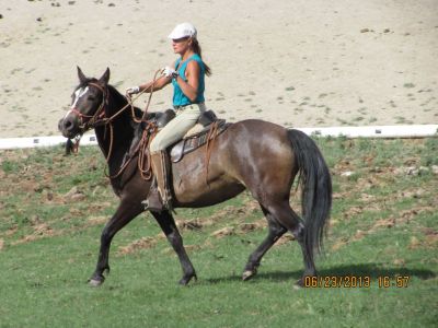 Pasture Work