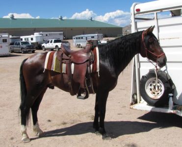 Western Tack